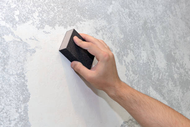 Mold Odor Removal Services in Saddle Rock, NY