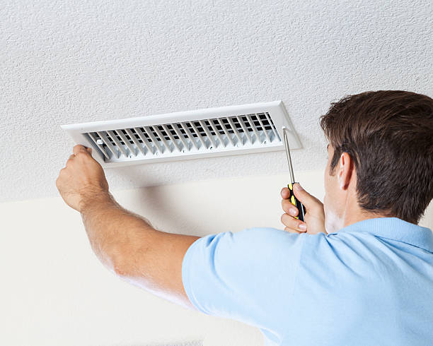 Professional Mold Removal in Saddle Rock, NY