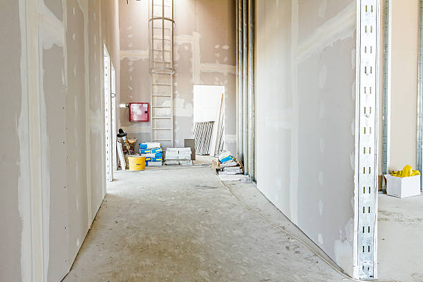 Best Mold Documentation for Insurance Claims  in Saddle Rock, NY